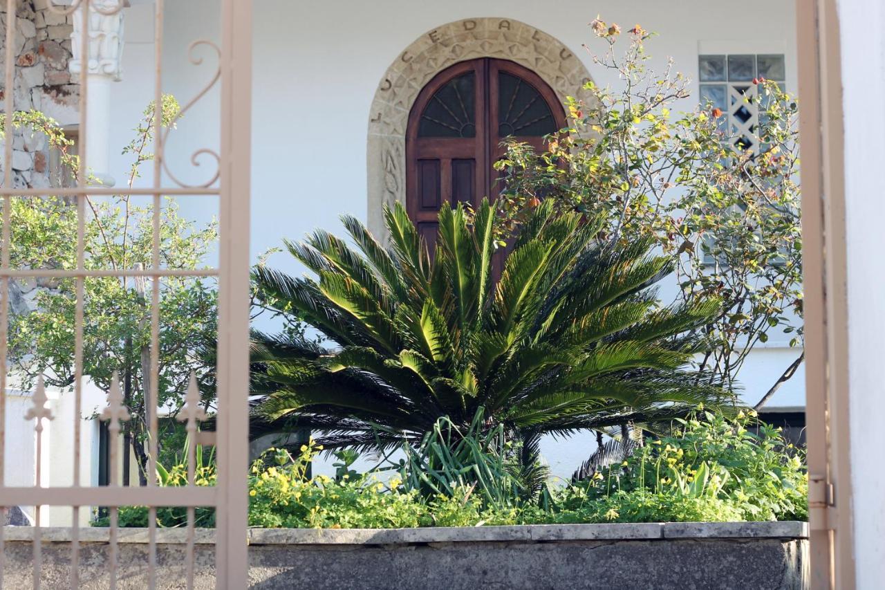Casa Vacanza D'Arte Salentina Otel Specchia Dış mekan fotoğraf